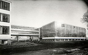 bauhaus.jpg (15383 bytes)